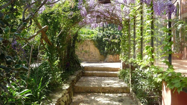 Un escalier en pierre mène à un espace abrité, orné de fleurs de glycine violette.