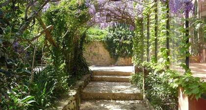 Old charming house with swimming pool