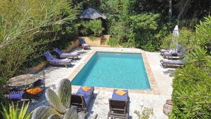 Une piscine rectangulaire entourée de verdure et d’un mur de pierre, avec des chaises longues et des parasols.