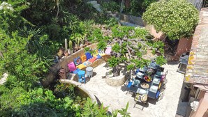 Une terrasse extérieure avec une table dressée pour le repas, entourée d’une végétation luxuriante et de différentes plantes.