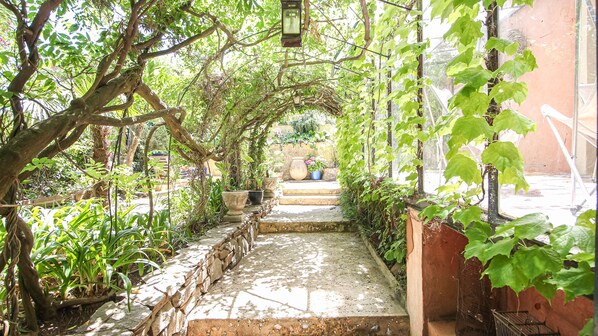 A stone pathway leading through a lush garden with potted plants and hanging lanterns.