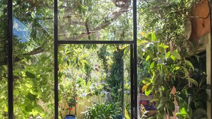 Une véranda dotée d’un sol carrelé, d’une lanterne suspendue et de diverses plantes en pot.