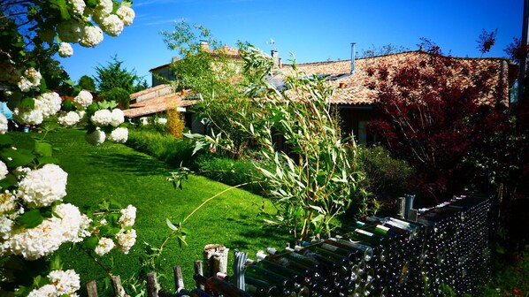 Property grounds - Cottage in an old Bordeaux wine cellar space, calm and comfort (Sadirac)