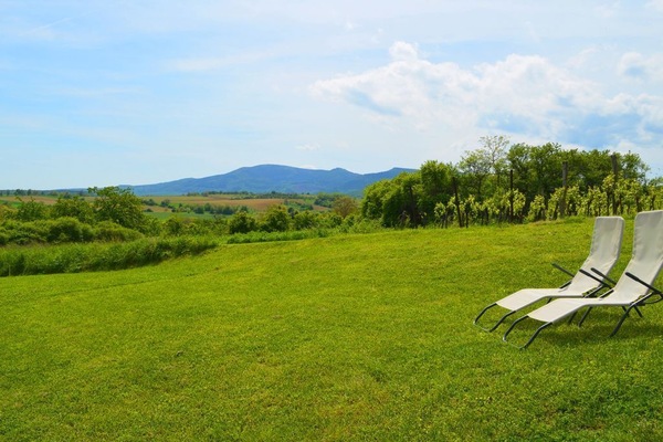 Jardin privatif avec vue sur le vignoble et le Mont Ste Odile