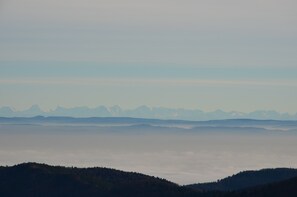 Unclassified image, 3 of 24, button