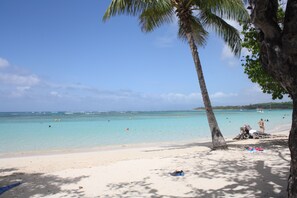 Playa en los alrededores y toallas de playa 