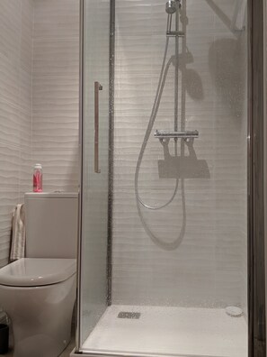 Shower, hair dryer