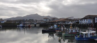 Asunto historiallisessa keskustassa, ranta 50 metrin päässä