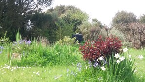 A garden with various plants and flowers, including white and purple flowers, and a small structure in the background. - Very quiet location, 5 minutes from the beach/10 minutes from shops by bike, large garden with castle view/Wifi. (Noirmoutier-En-L'île)