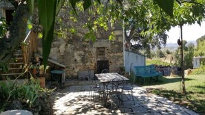 A stone patio with a table and chairs, surrounded by greenery and a rustic stone wall. - Independent MAS in the middle of vineyards in St Pons de Mauchiens, 10 km from Pézenas (Saint-Pons-De-Mauchiens)