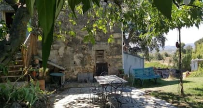 Independent MAS in the middle of vineyards in St Pons de Mauchiens, 10 km from Pézenas