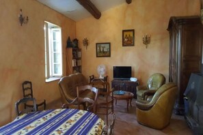 TV, fireplace, DVD player, books - Independent MAS in the middle of vineyards in St Pons de Mauchiens, 10 km from Pézenas (Saint-Pons-De-Mauchiens)