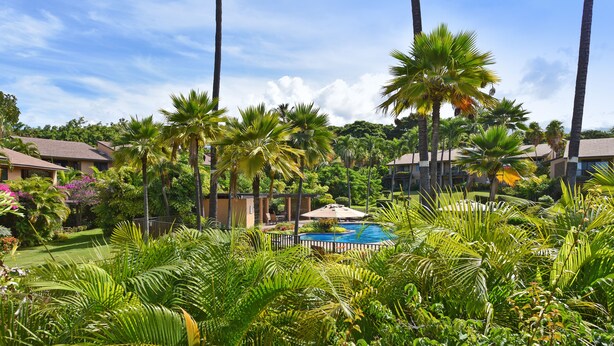 Un complexe hôtelier luxuriant doté d’une piscine entourée de palmiers et de plantes tropicales.