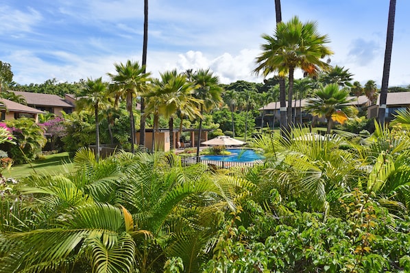 A lush resort with a swimming pool surrounded by palm trees and tropical plants.