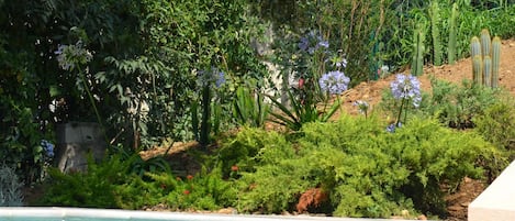 Alberca climatizada