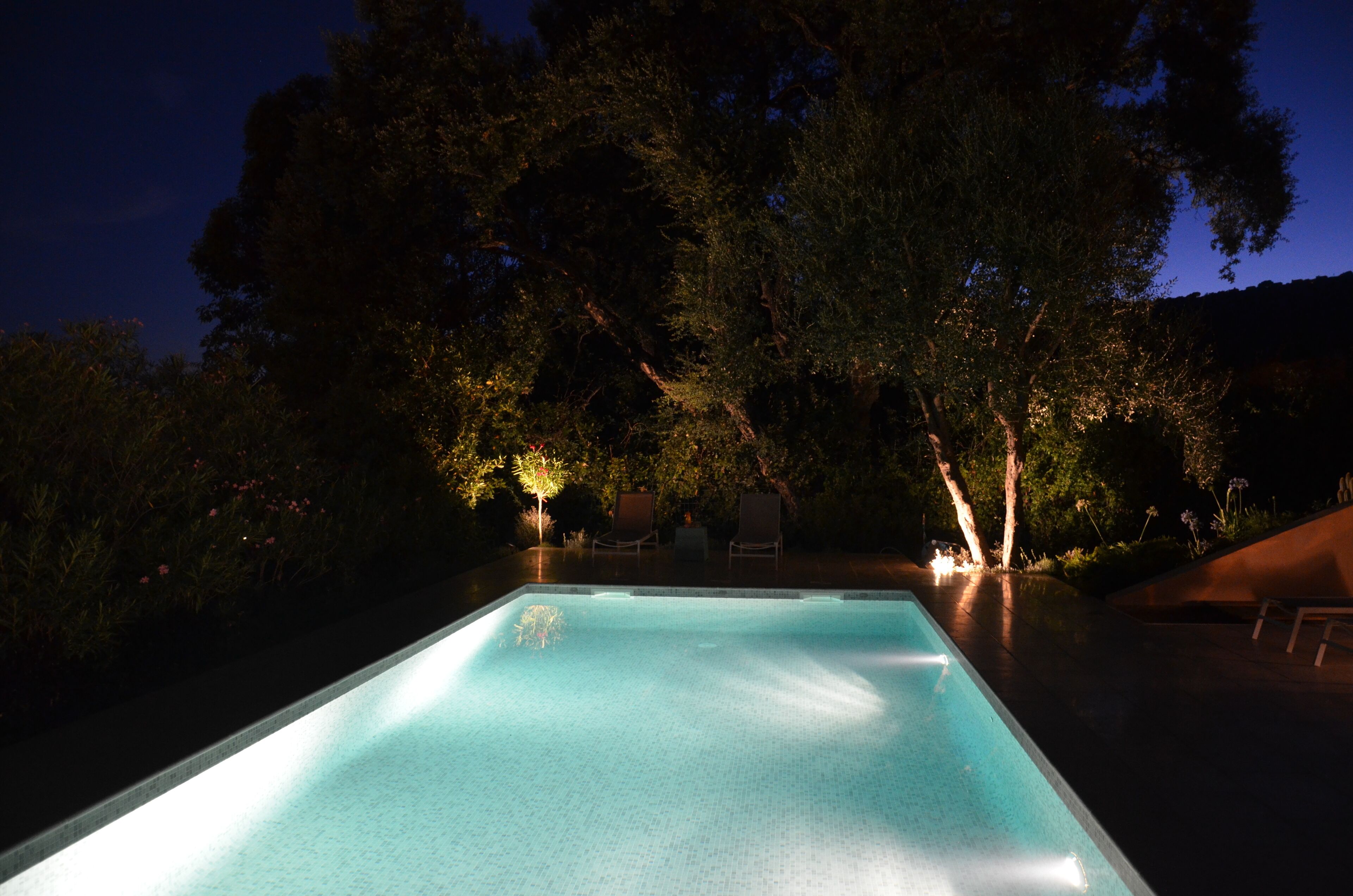 A swimming pool with a view of trees and a chair in the background.