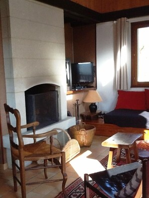 TV connectée, cheminée, lecteur de DVD, livres