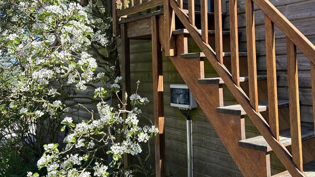 A wooden staircase leading to a building with a window and a tree with white blossoms.