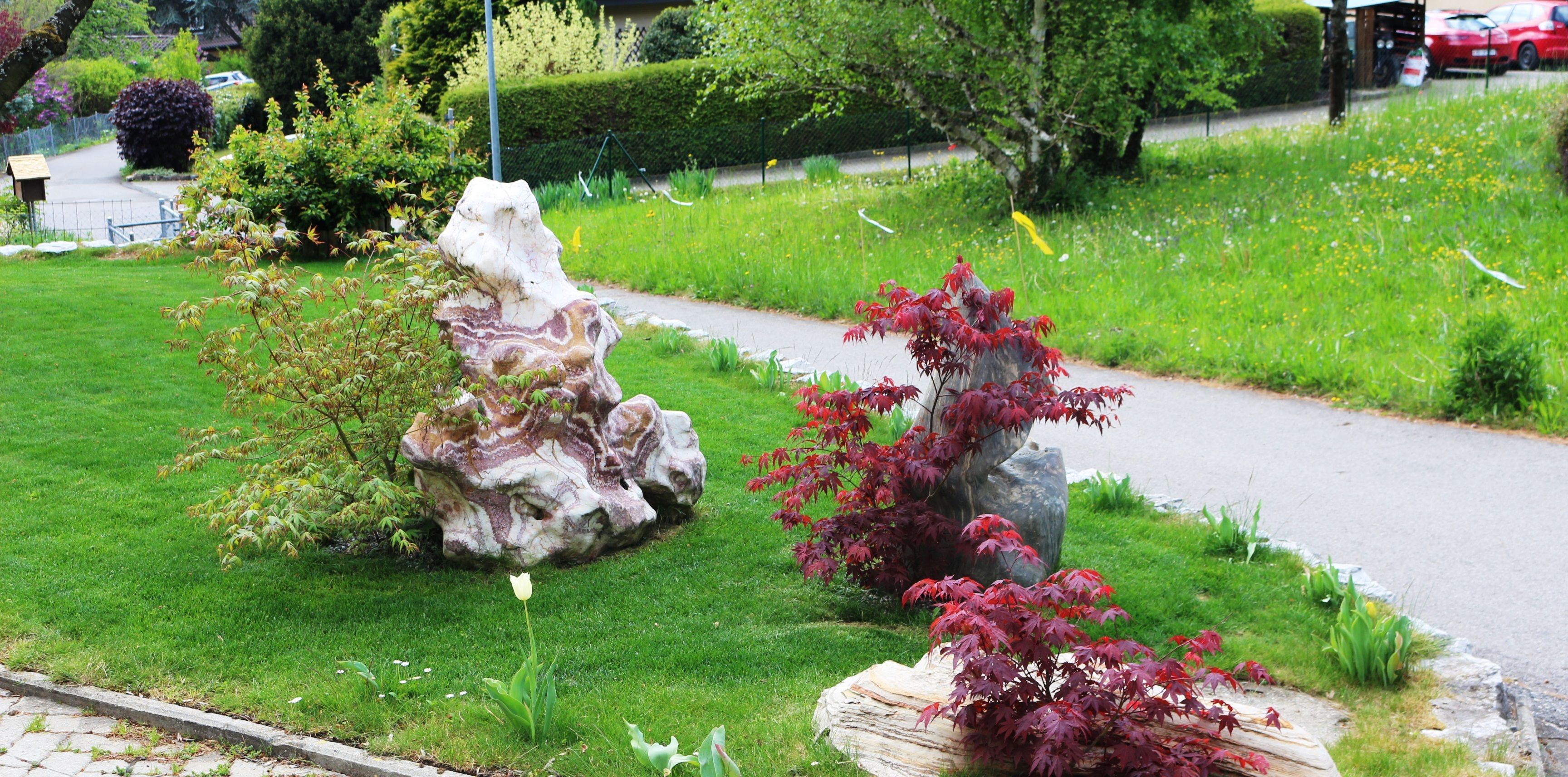 A landscaped garden with a pathway, a large rock formation, and red-leafed plants.