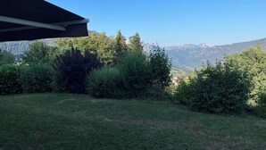 Eine grüne Freifläche mit dichter Strauchvegetation und einem Bergkamm im Hintergrund.