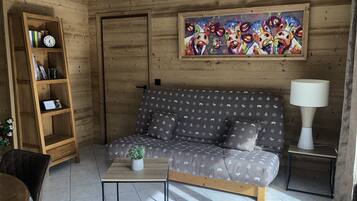 Télévision, lecteur de DVD, livres