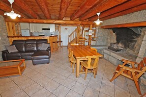 TV, fireplace, books