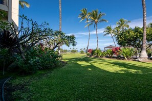 Property grounds - Prime Location, Unit H-102, Oceanfront next to pool. (Kamuela)