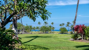 A tropical garden with a lawn, palm trees, and a view of the ocean. - Prime Location, Unit H-102, Oceanfront next to pool. (Kamuela)