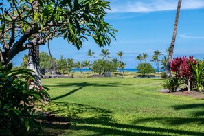 Property grounds - Prime Location, Unit H-102, Oceanfront next to pool. (Kamuela)