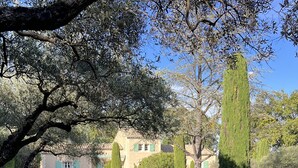 Um jardim bem cuidado, com diversas árvores e arbustos, céu azul claro e um edifício com fachada tradicional ao fundo.
