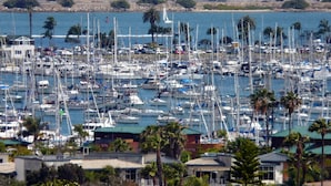 A marina filled with numerous boats, surrounded by palm trees and buildings with green roofs.