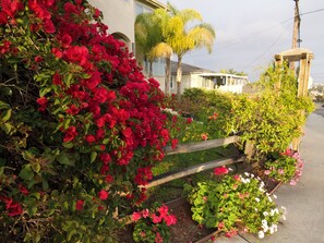 Exterior detail - Luxury 5BR Private Pool Home w/ Panoramic Ocean Bay & City Views – Sleeps 12+ (San Diego)
