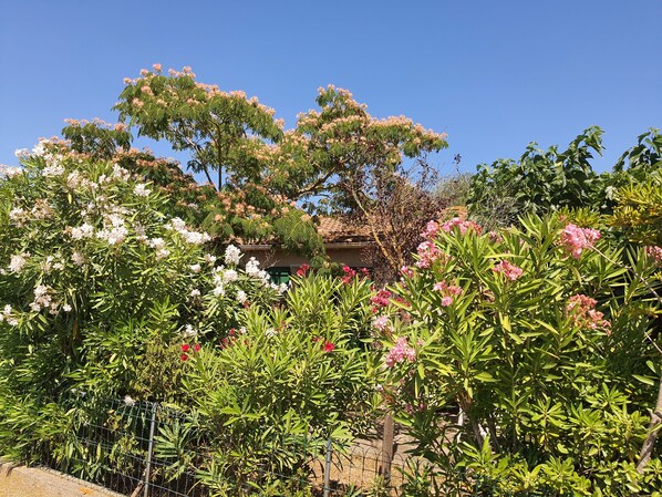 Áreas de la propiedad