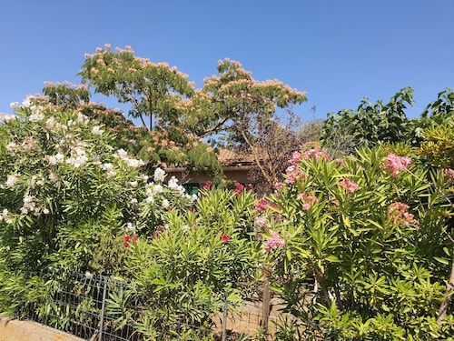 Sainte Marie La Mer (66 - PO) : Independent Villa 65 M2 For 6 Persons