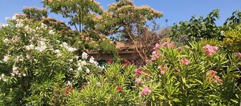 Sainte Marie La Mer (66 - PO) : Independent Villa 65 M2 For 6 Persons