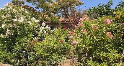 Sainte Marie La Mer (66 - PO) : Independent Villa 65 M2 For 6 Persons