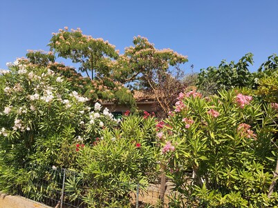 Sainte Marie La Mer (66 - PO) : Independent Villa 65 M2 For 6 Persons