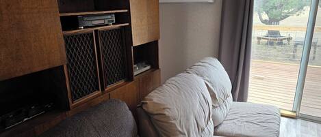 Smart TV, fireplace, books