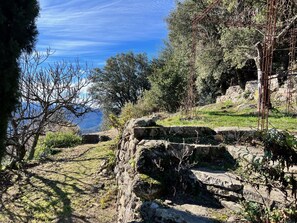 Property grounds - Le Pailler Bas en Cévennes (Valleraugue)