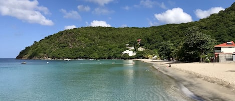 بالقرب من الشاطئ