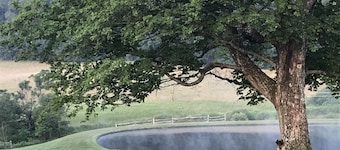 Country Retreat of Beautiful Vistas offering Serenity or Activity