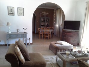 TV connectée, cheminée, livres