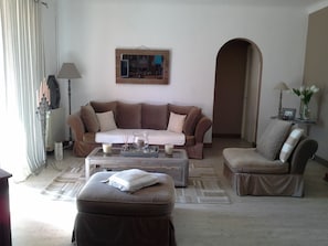 TV connectée, cheminée, livres