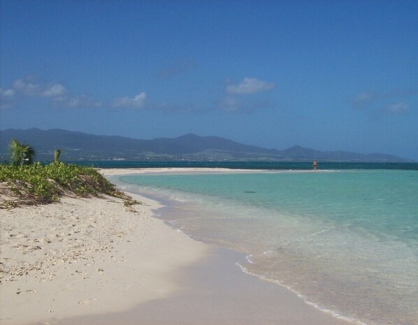 Playa en los alrededores 