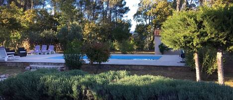Una piscina al aire libre