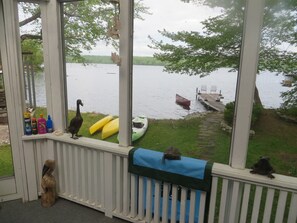 Property grounds