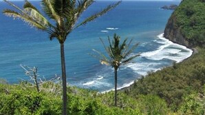 ビーチの近く、サンラウンジャー、ビーチタオル