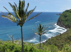 Playa en los alrededores, camastros y toallas de playa 
