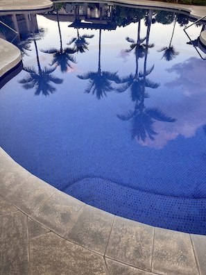 Una piscina con borde de baldosas y reflejos de palmeras.
