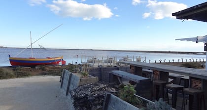 Authentic and cosy chalet in Gruissan Plage with the Mediterranean 300 m away